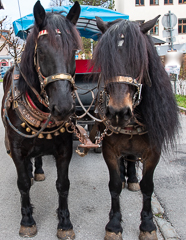 Endlich geschafft! Die Frisur auch.