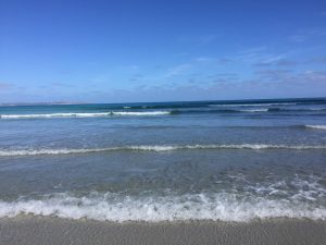 Strand von Cape Bridgewater