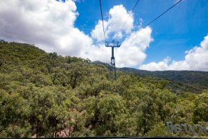 Mit der Seilbahn über den Regenwald