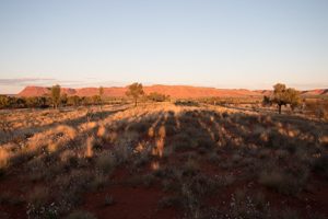 Kings Canyon im Abendlicht