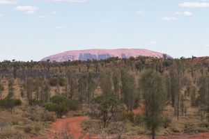 Der Urulu kommt in Sicht