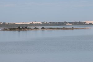 Blick auf die Pelikaninsel