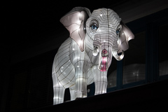 Elefanten auf dem Vordach