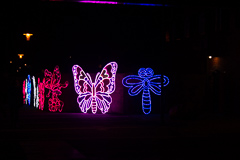 Draußen auch Schmetterlinge zur Begrüßung