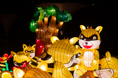 Erste Station: Erdmännchen. Die Erdmännchen haben etwas Spitzbübiges ...