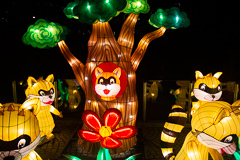 Erst schaut er noch ...