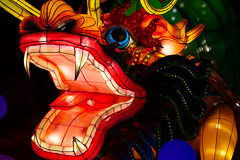Die farbenfrohe Aufnahme eines Drachenkopfes. Eines meiner Lieblingsbilder.