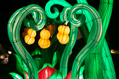 Etwas pflanzliches. Davon gab es einiges zu sehen.