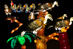 Vorne die Greifs, im Hintergrund der rieseige Drache