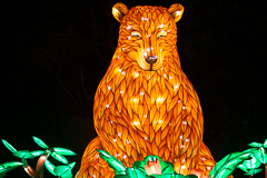 Was für ein netter Bär sitzt da im Busch