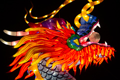 Der Kopf des Riesendrachen, in sechs Metern Höhe