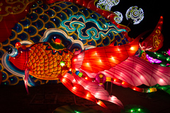 Ein Schleierschwanz. Die hatte ich früher einmal im Aquarium.