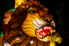 Grimmiger Löwe. Sehr grimmig!