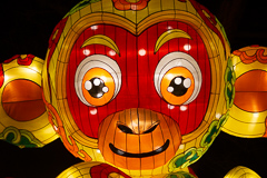 Zeigen wir dem Löwen doch mal ein freundliches Äffchen