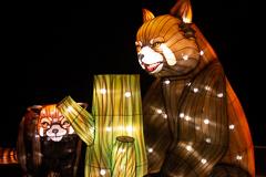 Kleine Pandas. In Natura meist schwer zu entdecken.