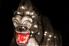 Ein zähnefletschender Gorilla. Noch so einer mit schlechter Laune