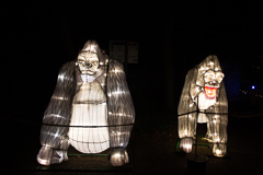 Dem Gorilla sein Kumpel, total relaxt.