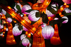 Bäume mit Früchten