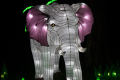 ... also suche ich Zuflucht bei den Elefanten