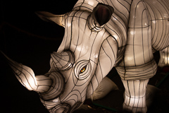 Ein (kleines) Nashorn