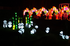 Viele kleine große Pandas. Die schwarz-weißen. Nicht zu verwechseln mit dem braunen kleinen Panda.