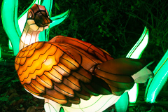 Meine Lieblingsspeise in der Vorweihnachtszeit: Gans.