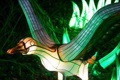 Gans fliegt weg. Ich hab wohl zu laut: 'Lecker!' gerufen