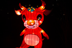 2. Tierkreiszeichen: Büffel