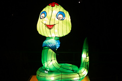 6. Tierkreiszeichen: Schlange