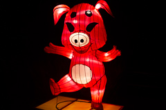 12. Tierkreiszeichen: Schwein. Das ist 2019 aktuell!