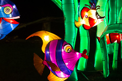 Nahaufnahme ohne nass zu werden