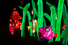 Aus dieser Perspektive könnte man meinen, man befinde sich unter Wasser