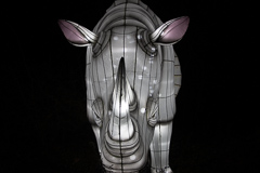 Das lebensgroße Nashorn in der Frontalen