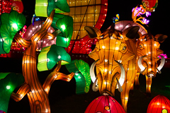 Warzenschweine unterwegs