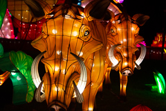 Warzenschweine kommen näher