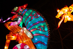 Übergroßes Chamäleon. Es wechselte tatsächlich auch die Farben