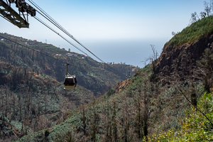 Seilbahn zum botanischen Garten