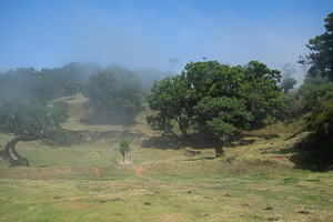 Die fast gleiche Stelle nur wenige Minuten später