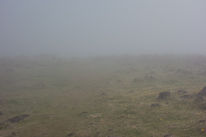 Wir erreichen die Heidefläche, die Wolken erreichen uns