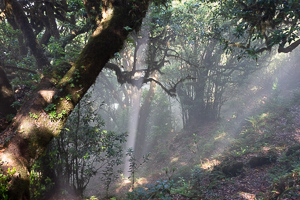 Die Sonne als Quelle für Spotstrahler