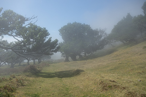 Die Nebel lichten sich