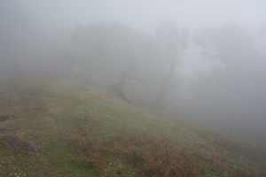 Die Orientierung im Nebel fällt schwer