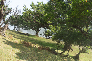 Um dann ganz zu verschwinden