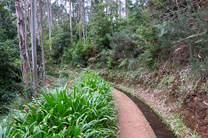 Der Wanderweg, noch nicht im Berg