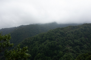 Die Wolken hängen tief hier in den Bergen