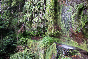 Dieser kleine Wasserfall sorgt für Unmut