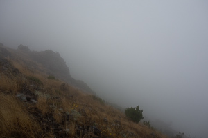 Schlechte Sicht in Sicht