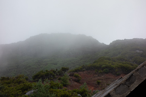 Ein letzter Blick Richtung Gipfel, bevor es zurück geht