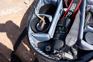 Gigt's hier fressbares?