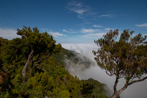 Aussicht zum Verlieben